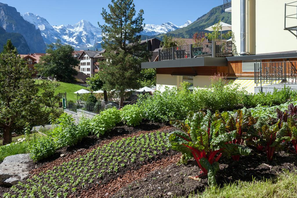 Hotel Schoenegg Wengen Extérieur photo